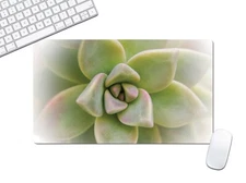 New Computer Desk Pad XL, Green Succulent Keyboard Mat Multiple Sizes - DMAT14