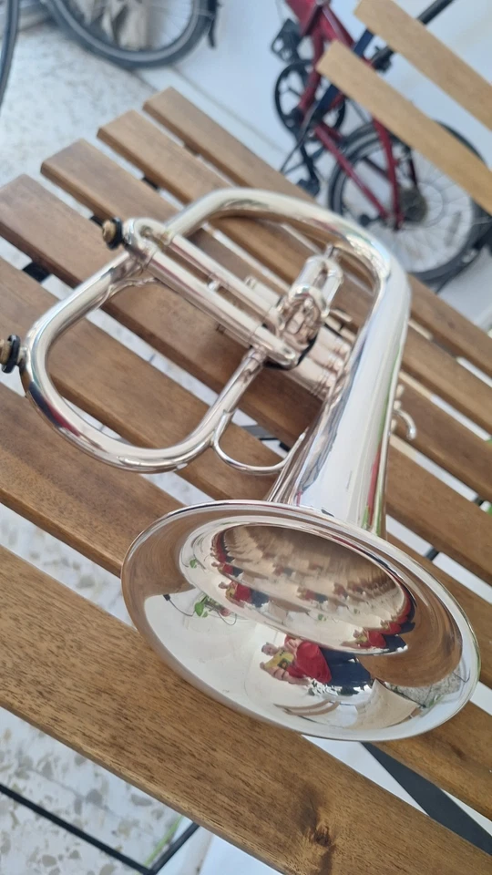 Fliscorno Benge Foto 3 de 4