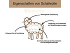 Bild 12 von 12
