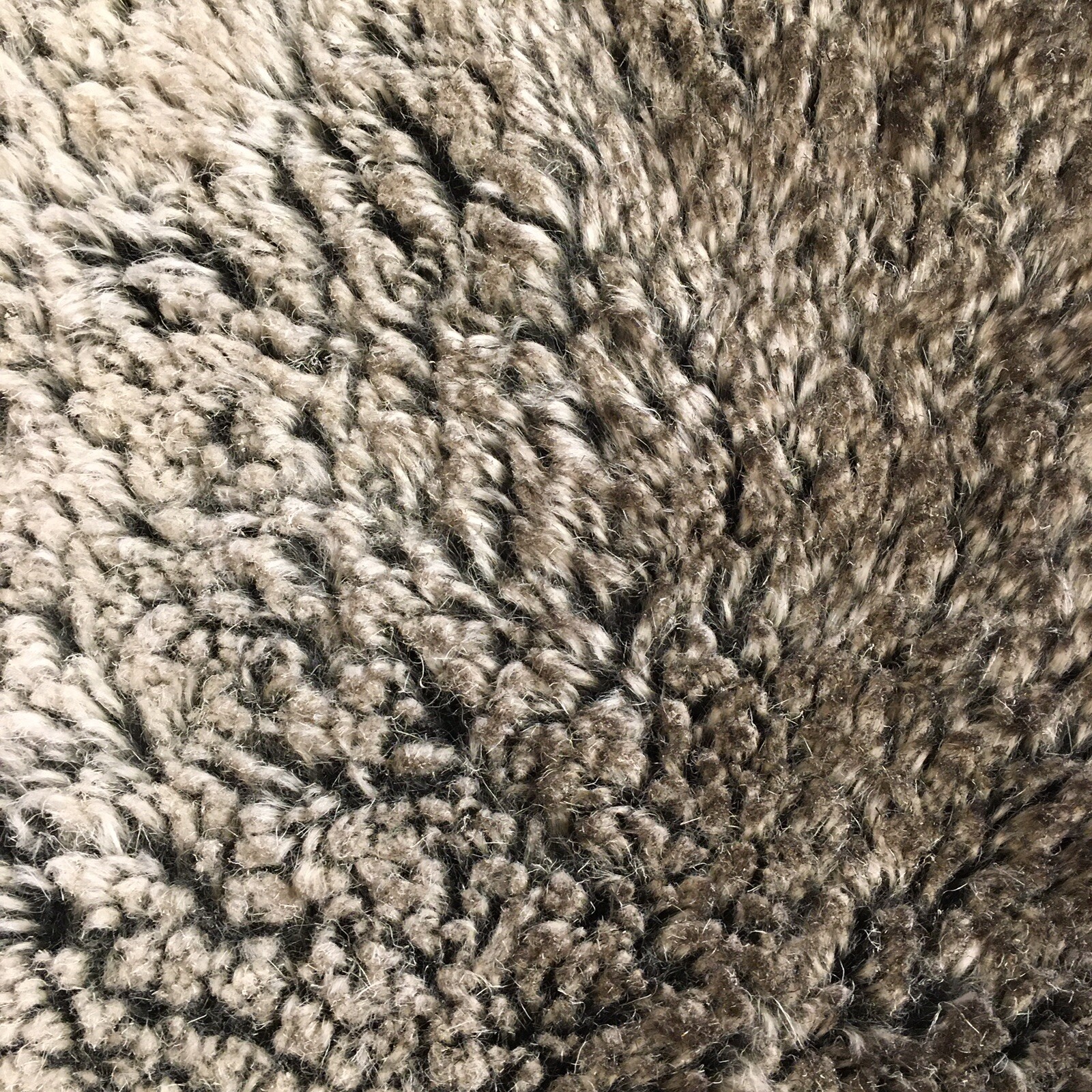 Picture 8 of 8