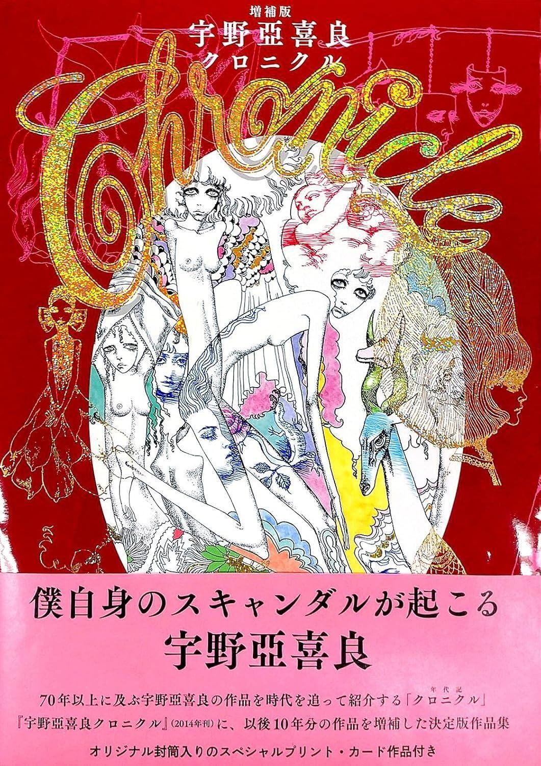 Book Expanded Edition Akira Uno Chronicle Japanese Japanese Illustrator
