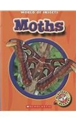 Moths Martha E. H. Rustad