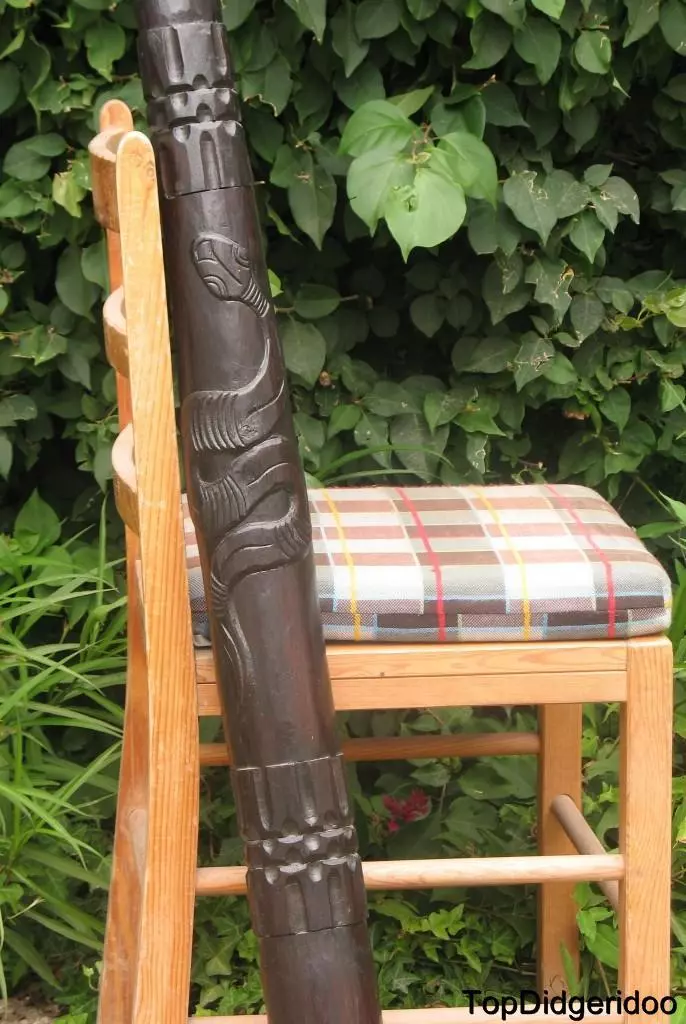 Snake didgeridoo outlet