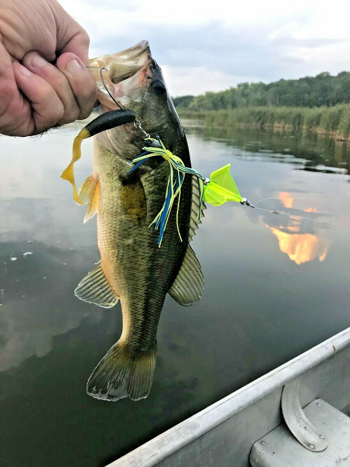  3/8-1/2oz Weedless Red Quad BuzzBait w/Black/Yellow Barbwire Skirt & Frog - Image 3