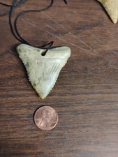 Large Fake Sharks Tooth With Lanyard