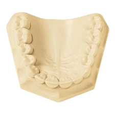 Whip Mix ResinRock Ivory 33 lbs