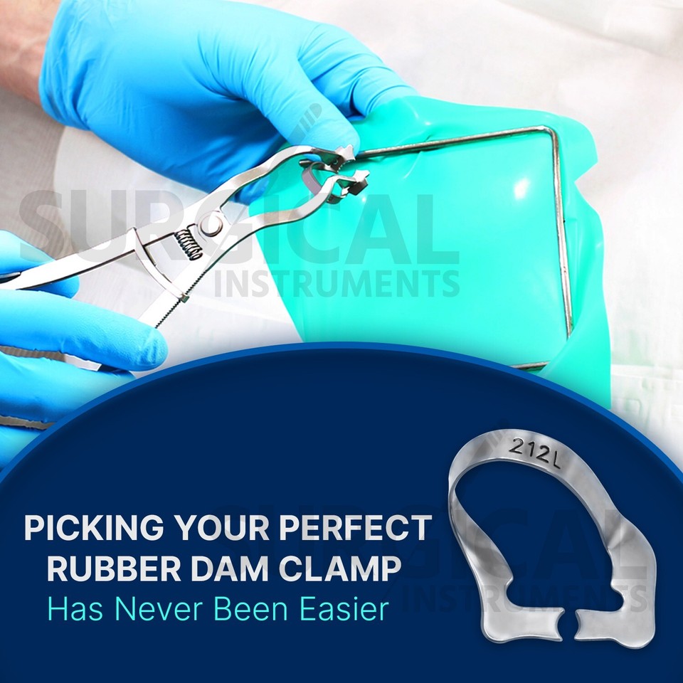 6 Pinces à Digue Endodontique En Acier Inoxydable #5 - Neuves - Pour Dentistes Et étudiants