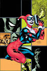 Harley Quinn: Night and Day by Karl Kesel (Paperback, 2013)