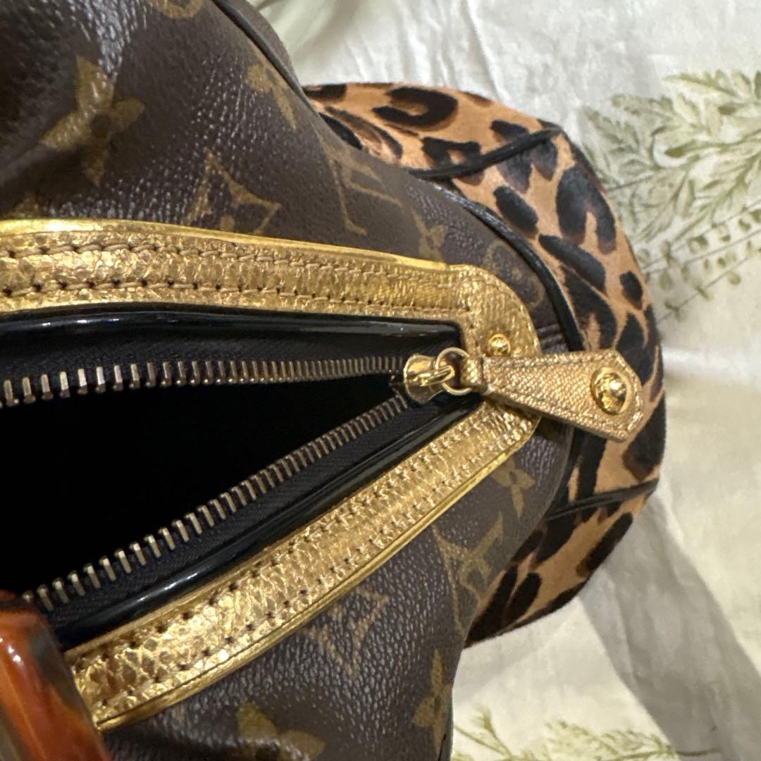 Louis Vuitton Monogram Leopard Adele 2way Bag M95… - image 12