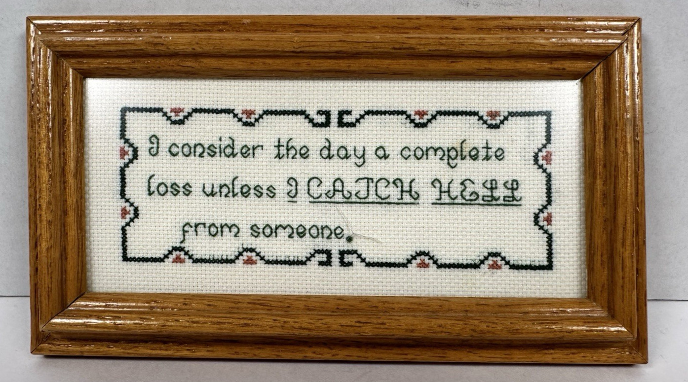 Framed Cross Stitch Funny Quote Wall Art Handmade Decor "Catch Hell" 6"x3.5"