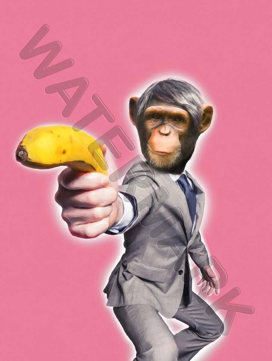 Funny Pictures Of Monkeys With Guns
