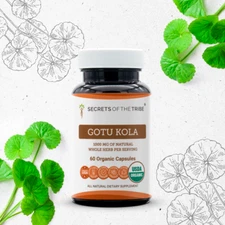 Secrets Of The Tribe Gotu Kola Capsules, 500 mg