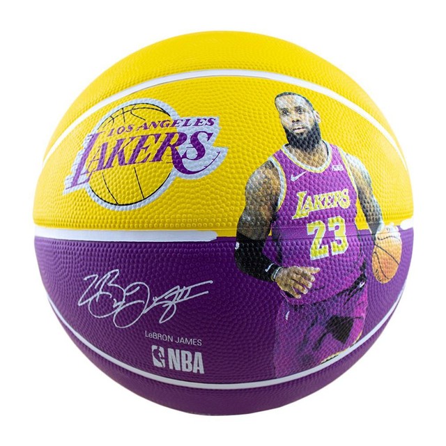 lebron james basketballs