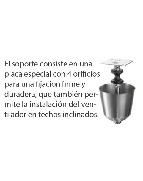 Foto 10 di 10