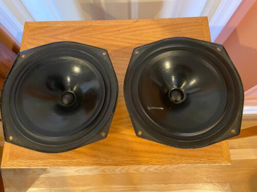 Dalesford D100/250 10 inch woofers, two, one repaired - Afbeelding 1 van 8