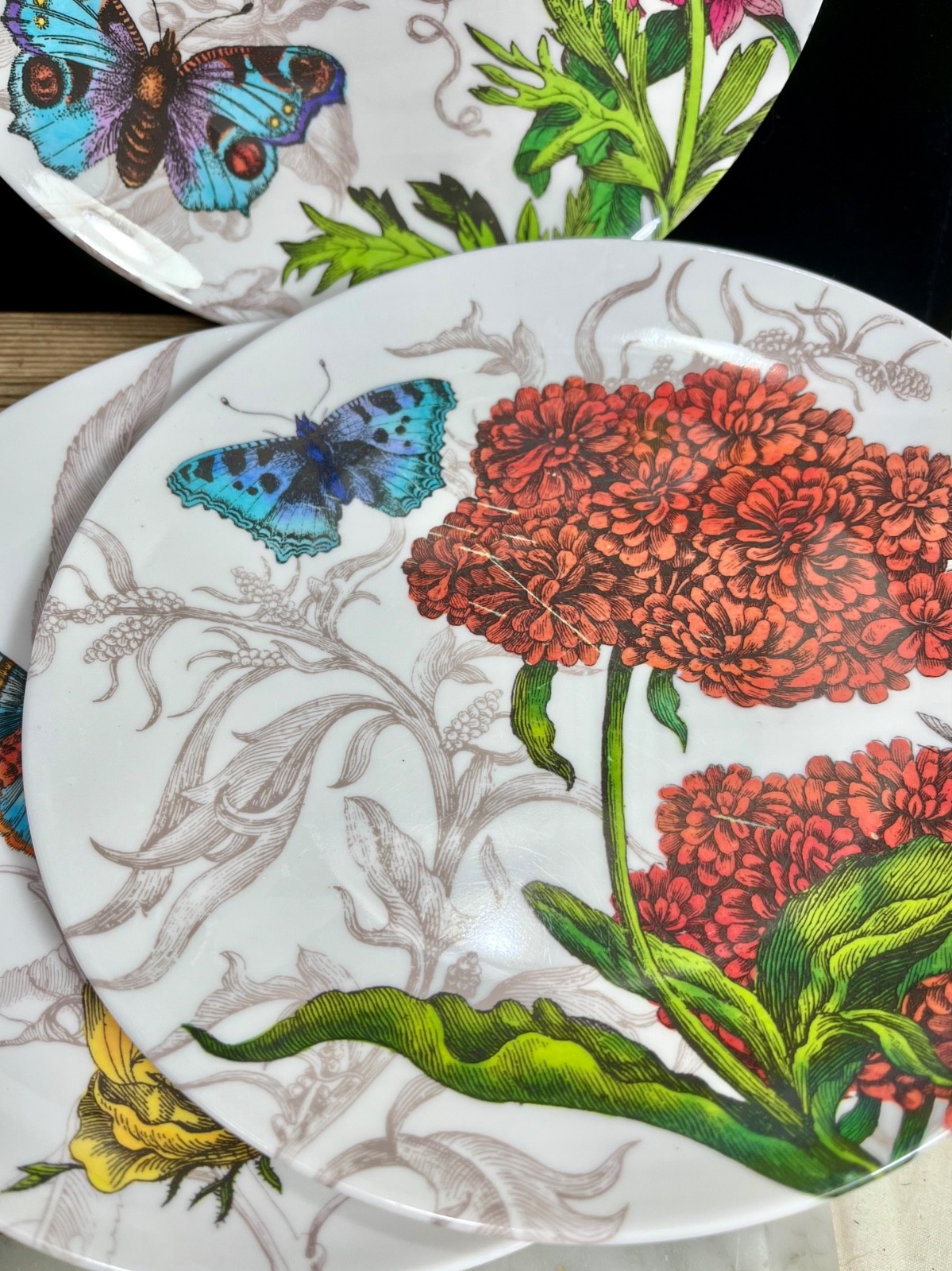 Set 6 Pier 1 One Imports Butterfly Floral Botanical Melamine 8.5” Salad Plates