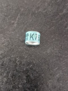 Old Vintage Racing Pigeon Ring Gb89k