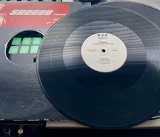 Shaggy – It Wasn't Me OG 2000 Press 12" PROMO in OG Cover VG+/VG