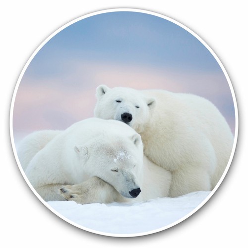 2 x Vinyl Stickers 10cm - Polar Bear Family in Snow Winter Cool Gift #13163 - 第 1/9 張圖片