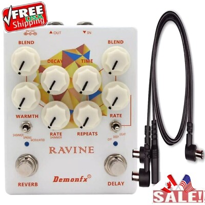 Demonfx RAVINE Reverb Delay + PDC Cable Numerous Set Options