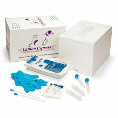 canine express shipping box