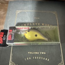 Rapala DT-6 Dives to In Old School DT06 OL SL Crankbait Nib HTF Rare Color