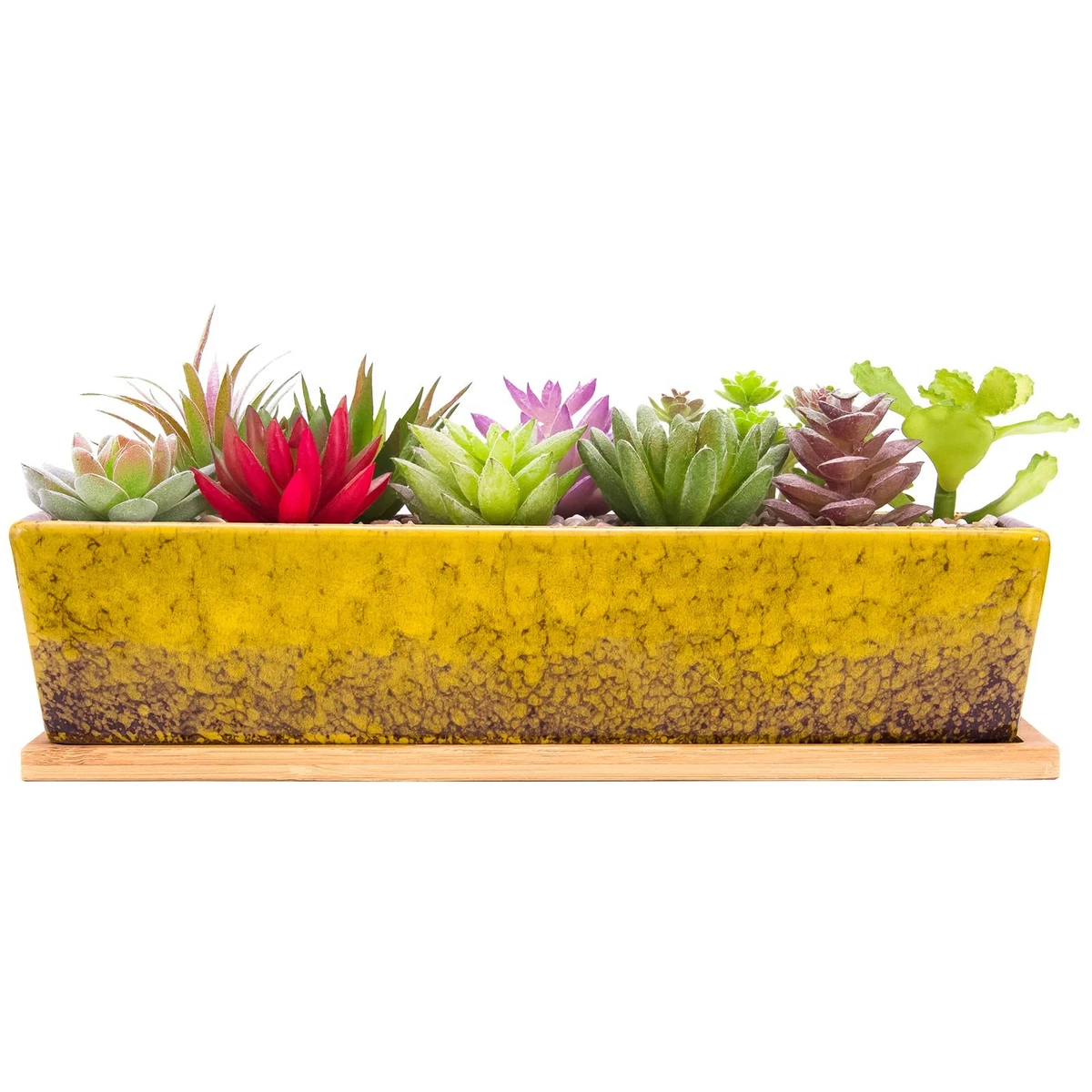 Homtone Grand Pot De Fleurs Géométrique Maison Verre - Terrarium Cage à Oiseaux Dorée