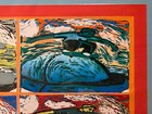Jake Francis "Skateboarder 4 Seasons" signed orig silk screen framed 24 x 18 — photo 4