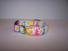 Wet Nose Designs Sunshine Day Rainbows & Smiles Dog Collar Spring Daisy Retro
