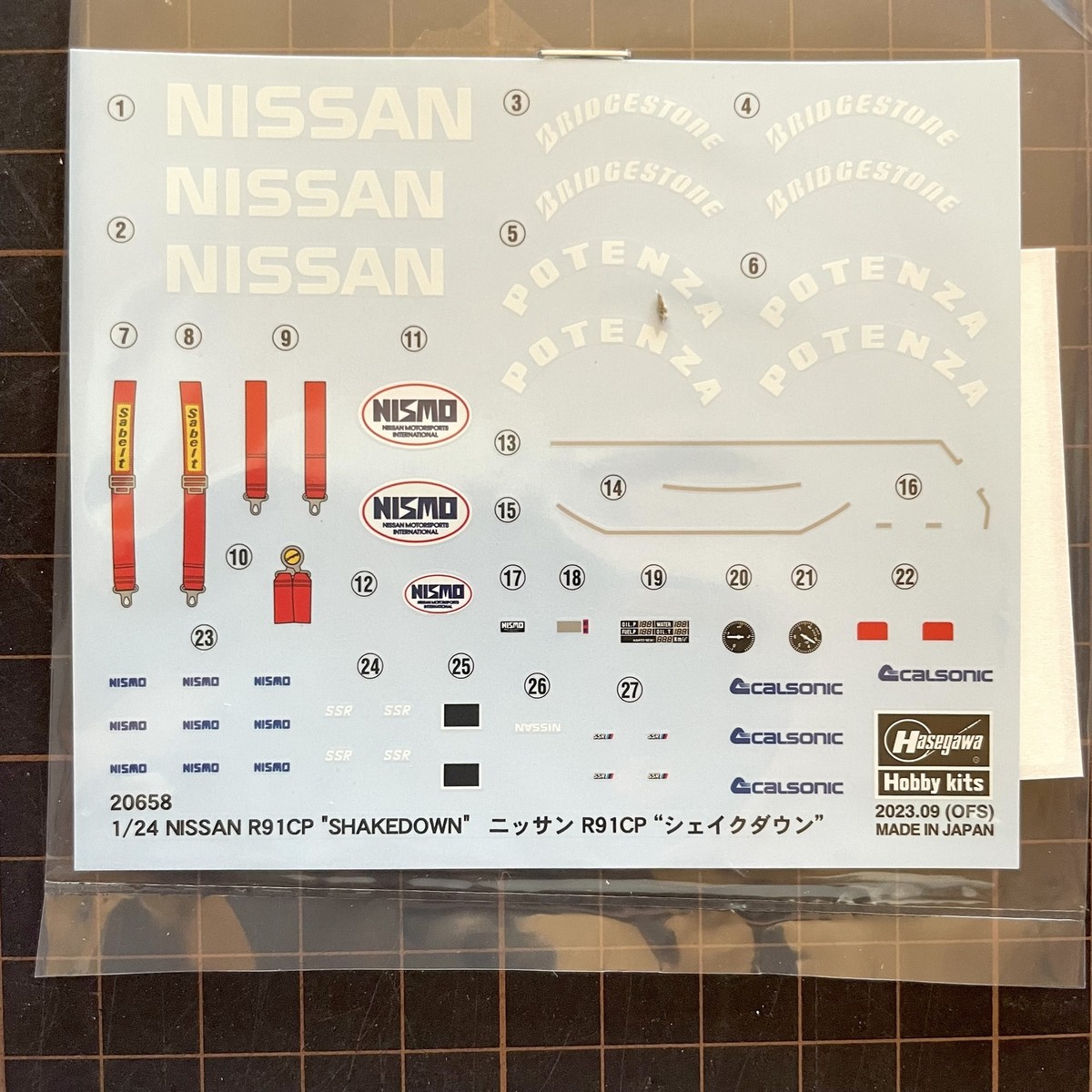 Hasegawa 1/24 NISSAN R91CP SHAKEDOWN Model kit 20658 JAPAN | eBay