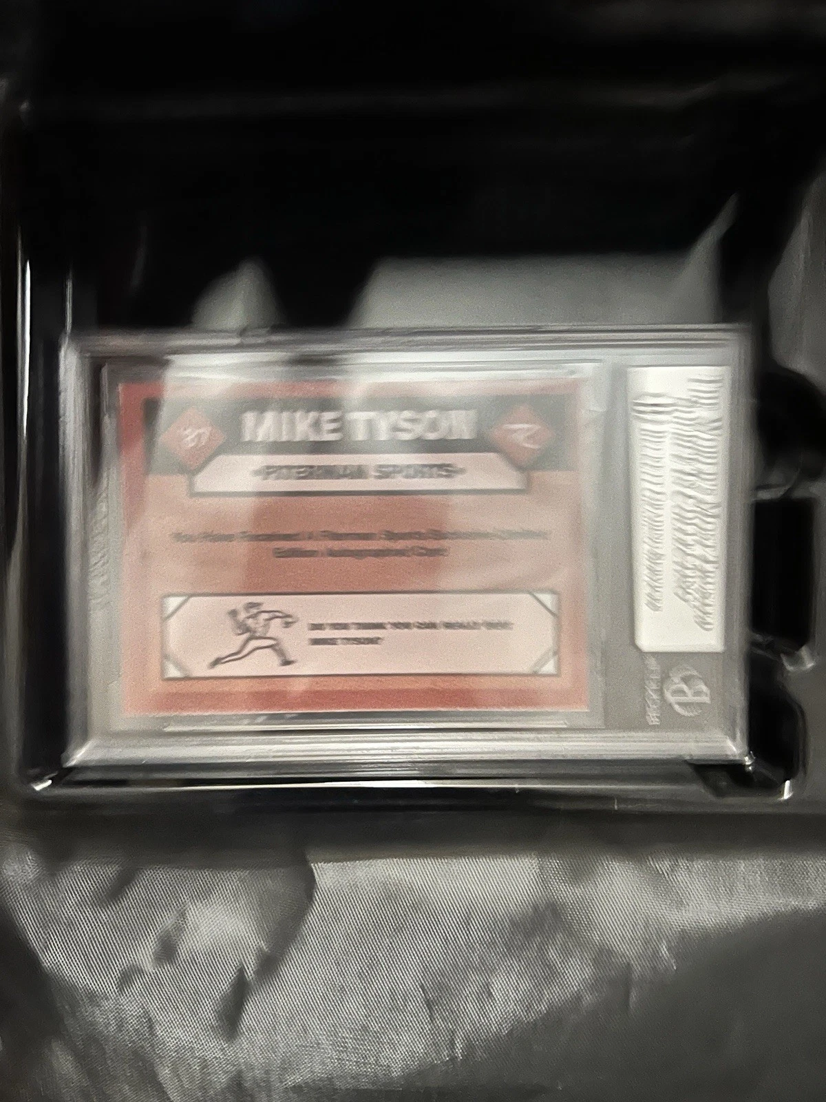 Picture 6 of 6