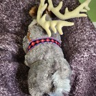 Frozen Reindeer Sven Plush Disney Store Large 16" Stuffed Animal Poseable legs — photo 5