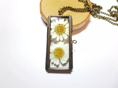 Real Daisies Pendant Daisy Necklace Pressed Daisy necklace Dry Wildflower neckl 