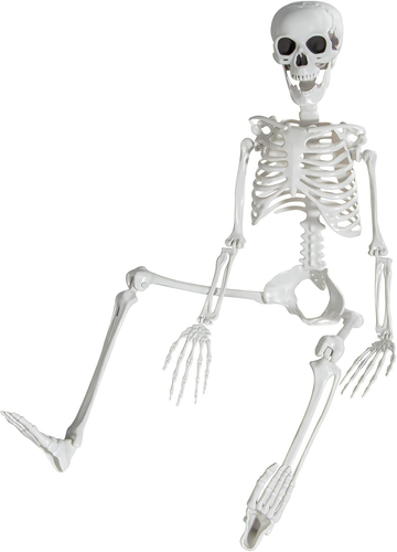 3 Ft Skeletons for Halloween, 36 Inch Life Size Skeleton with Full Body ...