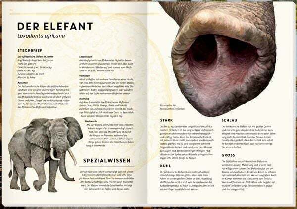 Thumbnail - Lebensgroß