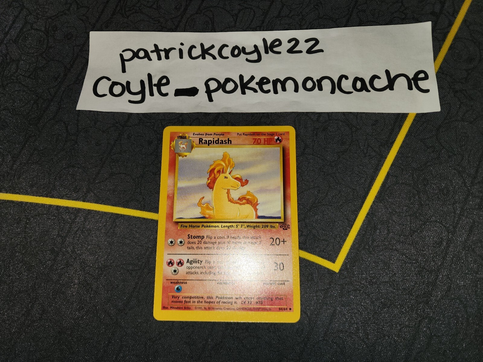 Rapidash Uncommon Jungle 44/64 NM