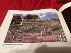 Picture 10 of 12