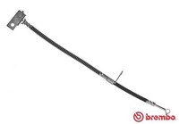 Bremsschlauch Brembo T 30 062 FüR Hyundai Getz TB Crdi GLS