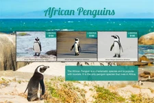 Liberia 2017 - African Penguins - Sheet of 3 Stamps - MNH