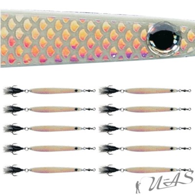 DAM 10 Stück FZ Dressed Seatrout Meerforellen Mefo Hornhecht Blinker Fluo Regenb