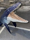 Picture 5 of 6