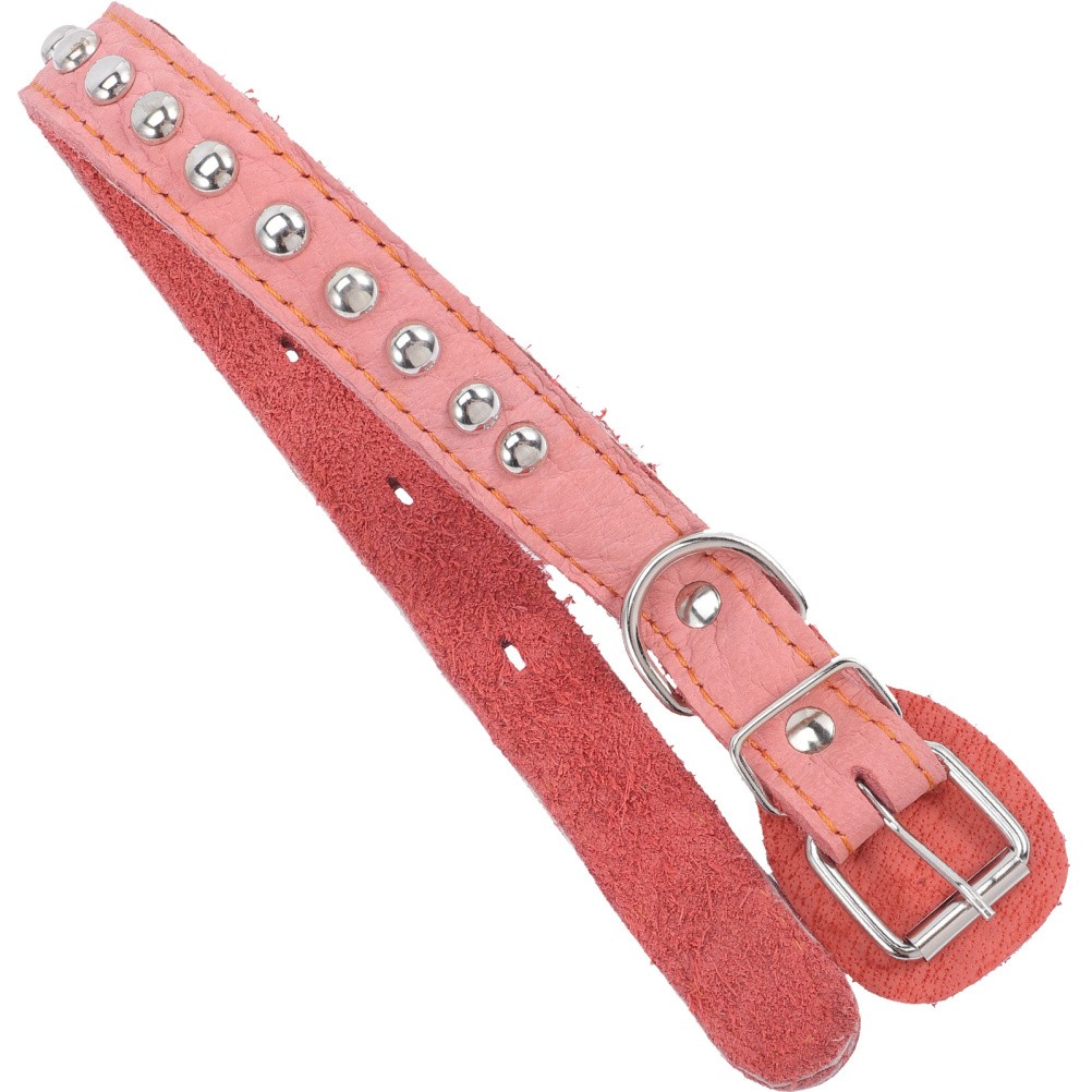 Accessori Cani Collare Creativo Per Animali Domestici Colletto Cucciolo foto 2
