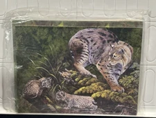 6X Tree-Free Greetings "BLANK" Greeting Cards & Envelopes 40009 3 LYNX
