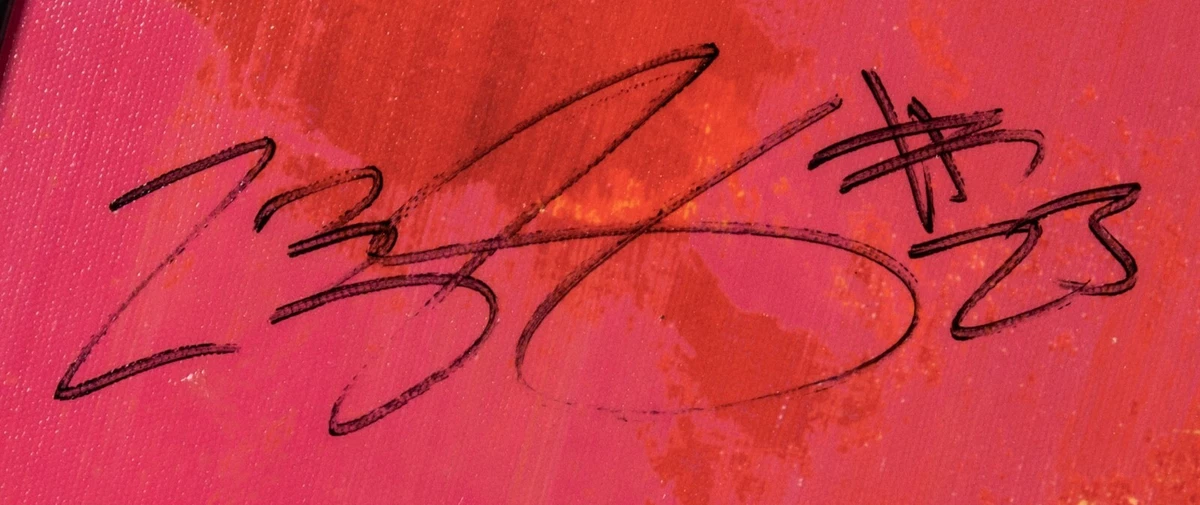 Lebron james signature store