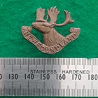 WW1 Canada CEF Newfoundland Regiment Cap Badge