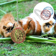  2 Pcs Boule De Collation Balle À Friandises Pour Chevaux Mangeoire Lapins Jouet