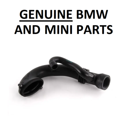 マノロブラニクハンギシ36