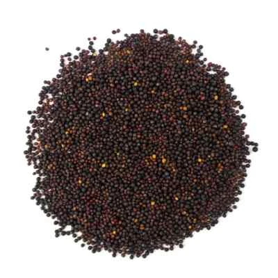 SKYSPROUTS Organic Broccoli Sprouting Seeds Special Mix