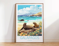 Galapago Ecuador, Sea Lions in Beach Art Poster Premium Quality Choose your Size