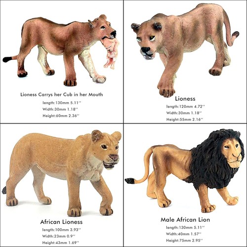 13-Piece Realistic Lion Figurines Set - Eco-Friendly Jungle Animal Toys - 第 6/8 張圖片